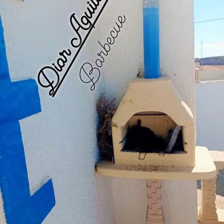 Photo of Others in El Haouaria