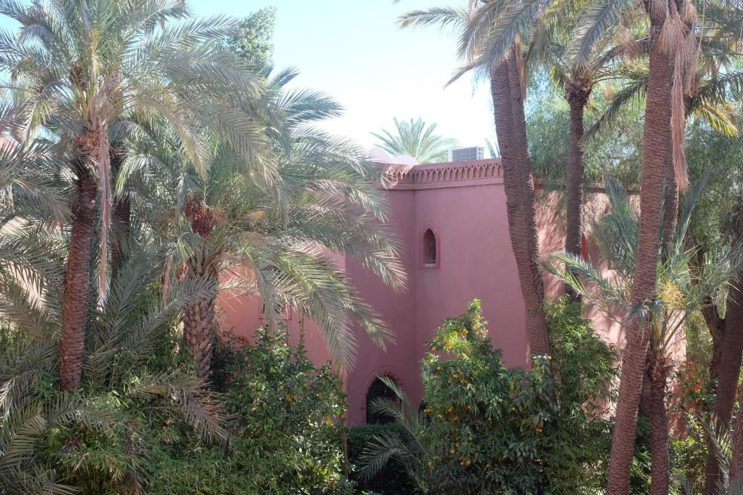 Photo of Others in Palmeraie