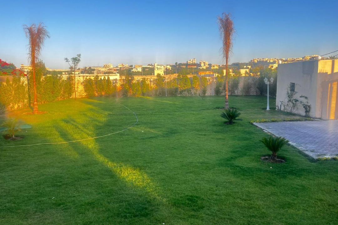 Photo of Others in Borg el Arab