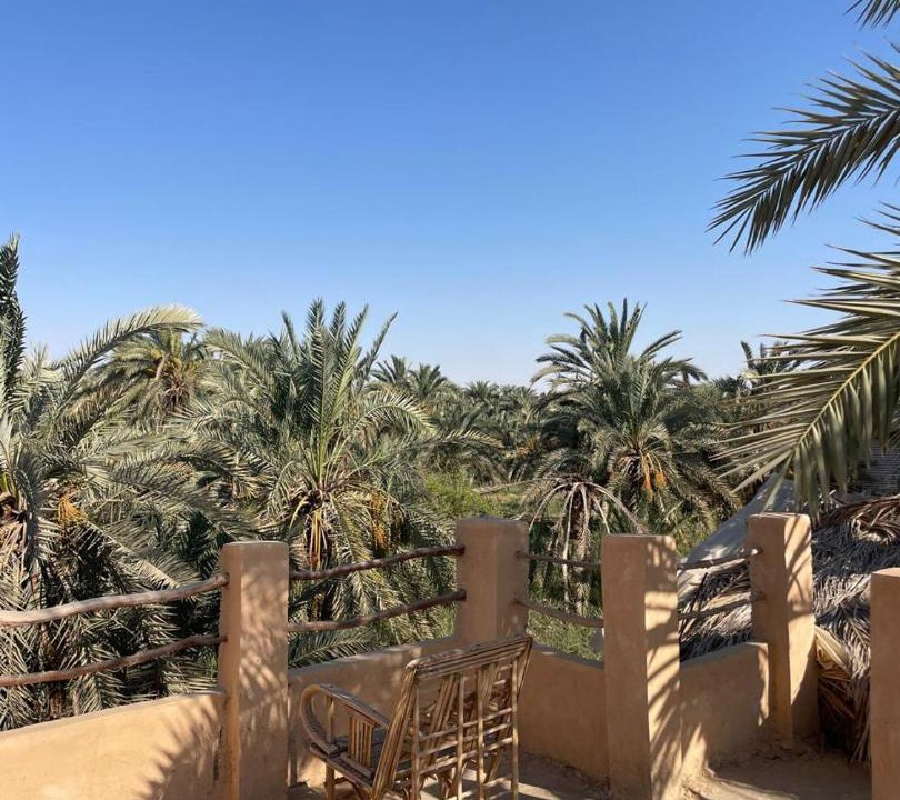 Photo of Others in Siwa