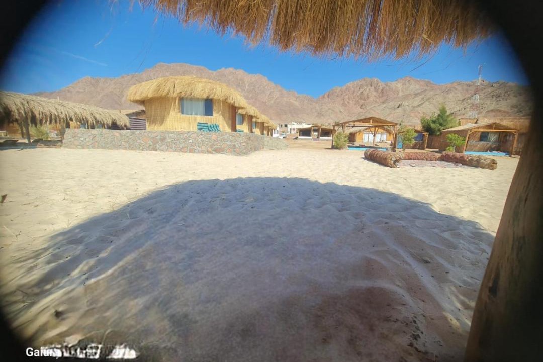 Photo of Others in Nuweiba