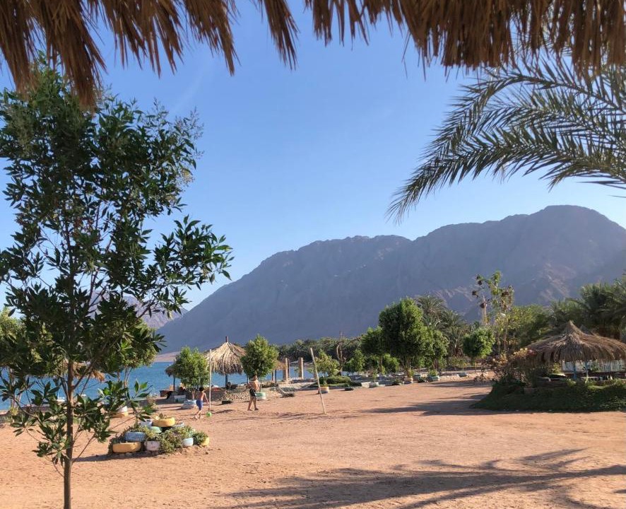 Photo of Others in Nuweiba