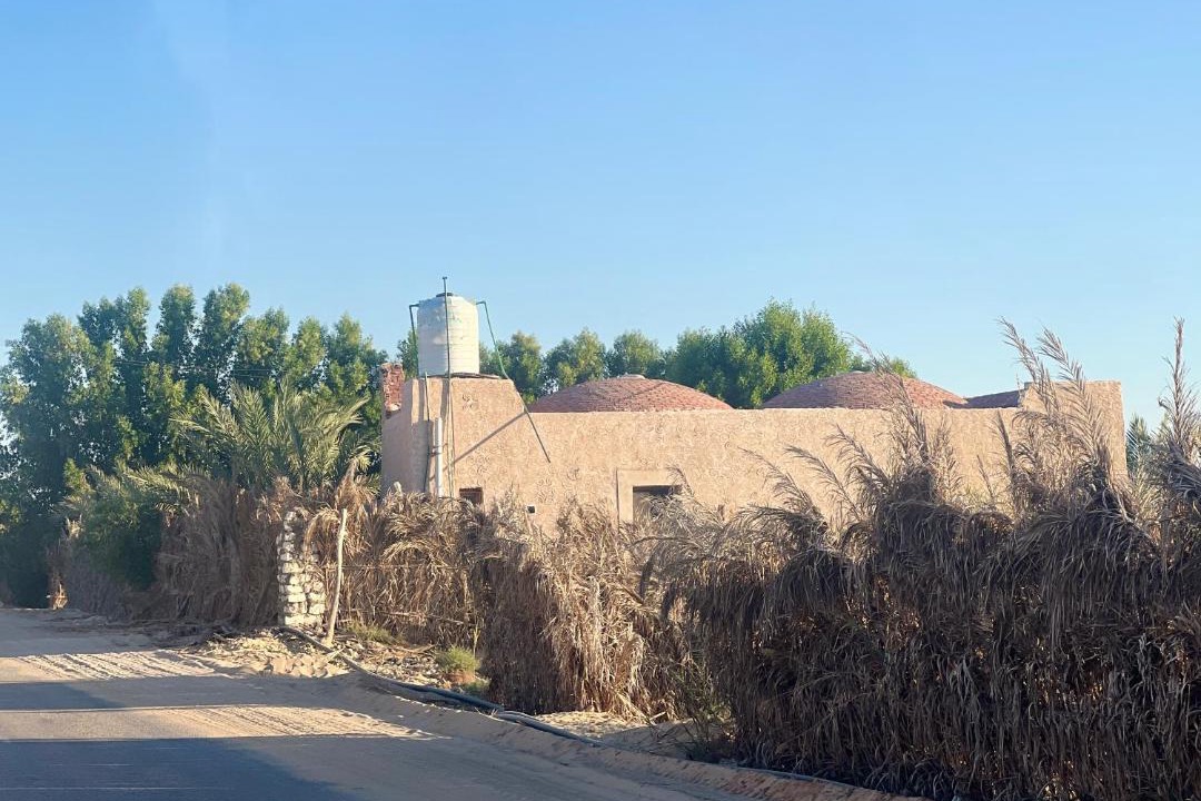 Photo of Others in Siwa