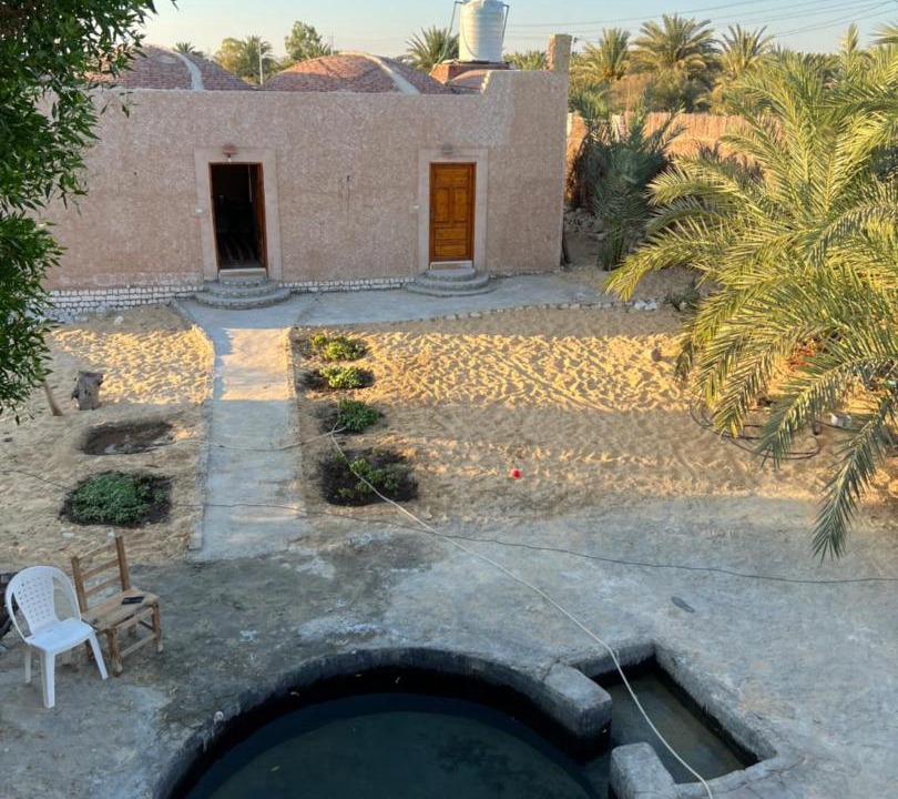 Photo of Others in Siwa