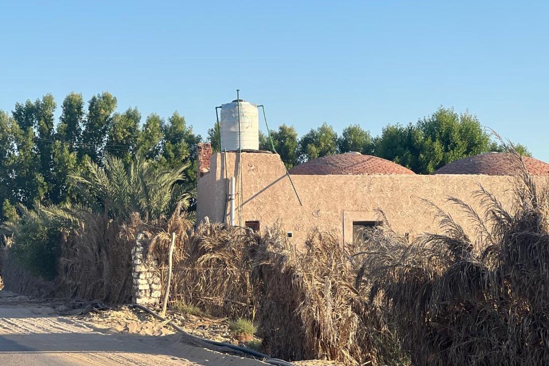 Photo of Others in Siwa