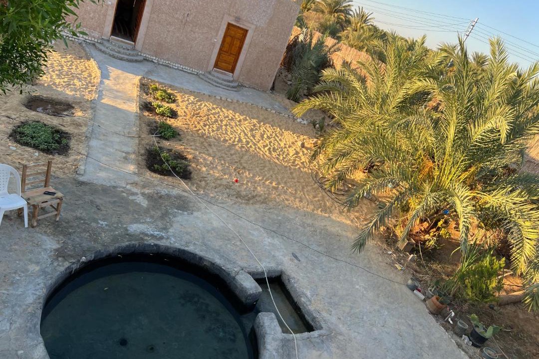 Photo of Others in Siwa