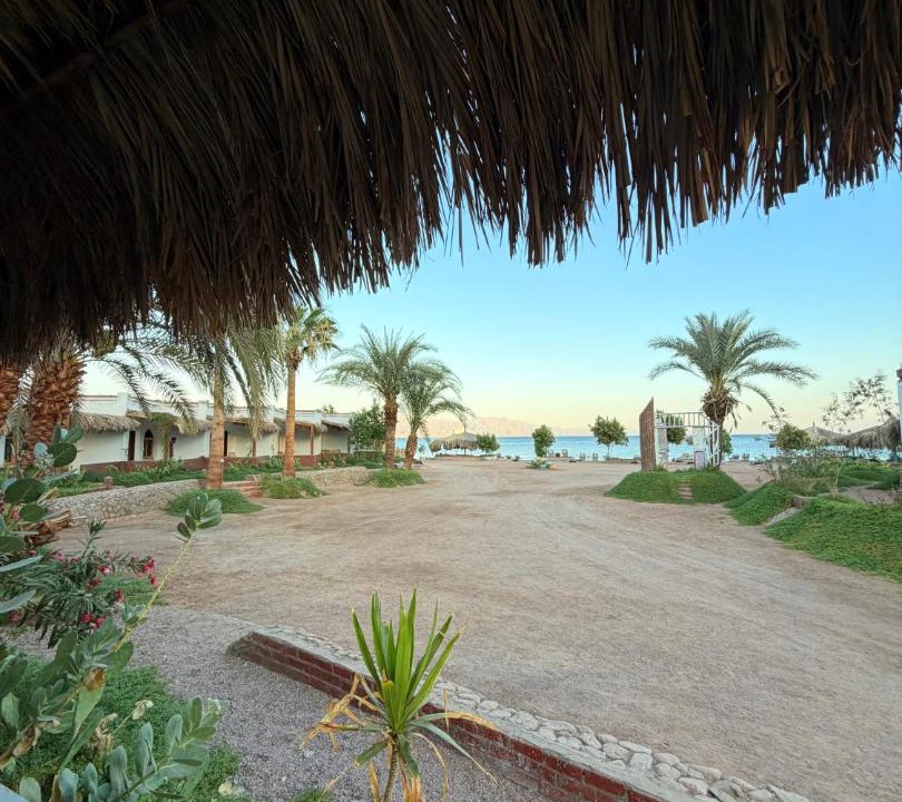 Photo of Others in Nuweiba