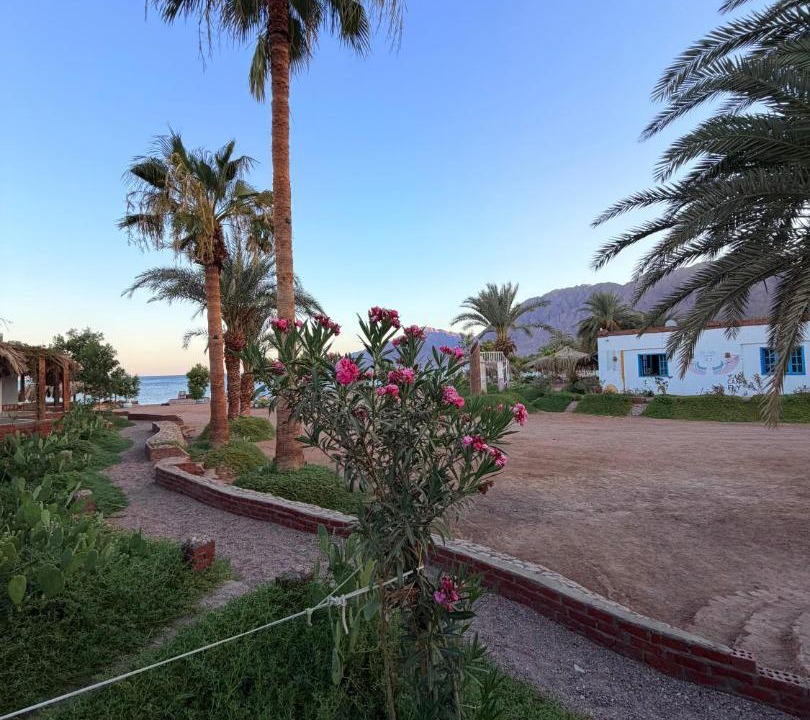 Photo of Others in Nuweiba