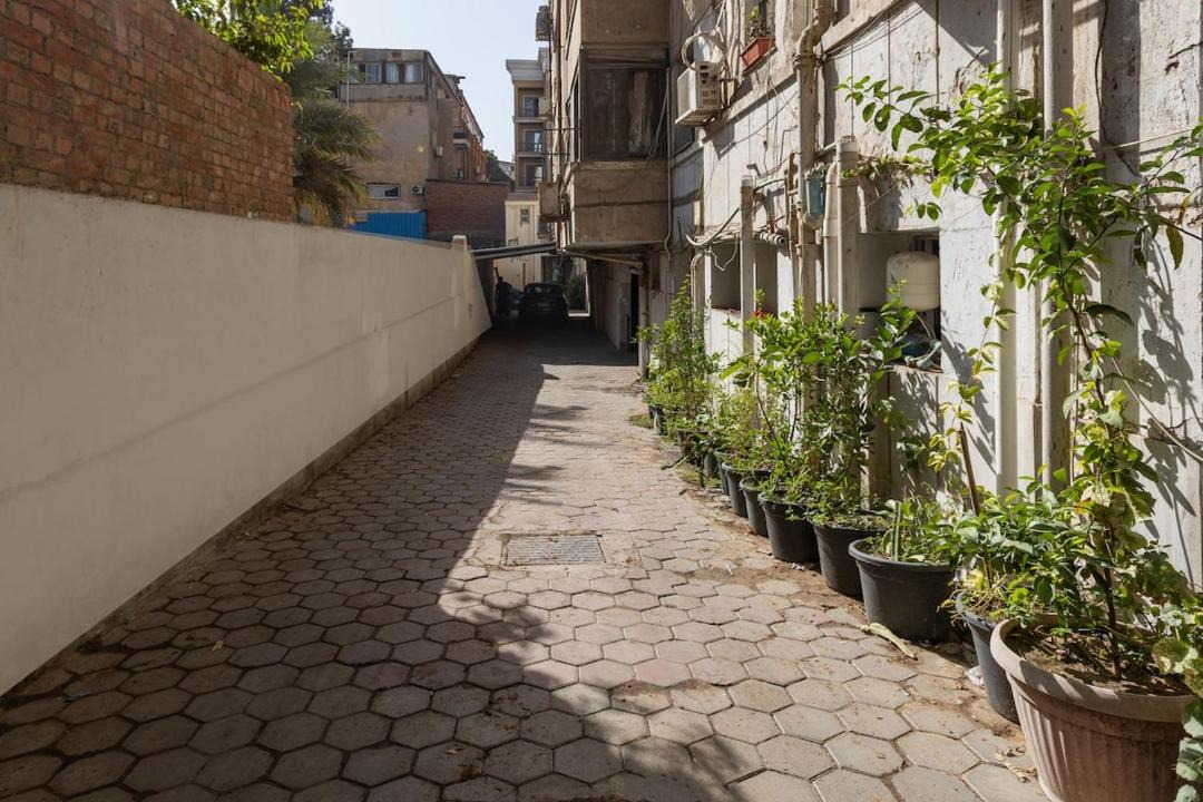 Photo of Others in Zamalek
