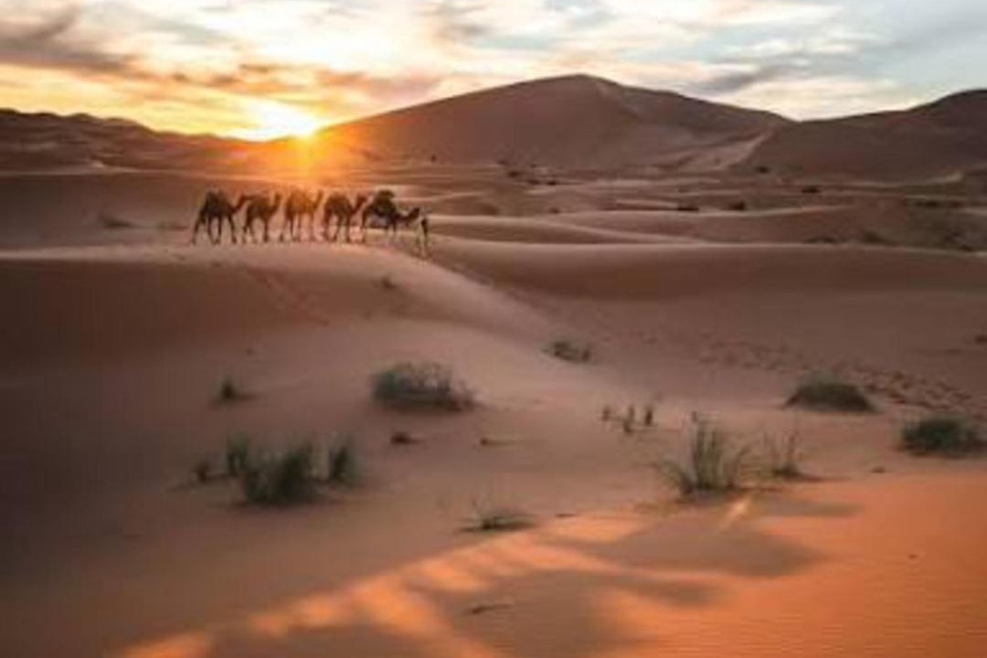Photo of Others in Merzouga