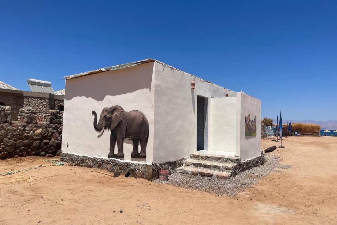 Photo of Others in Nuweiba