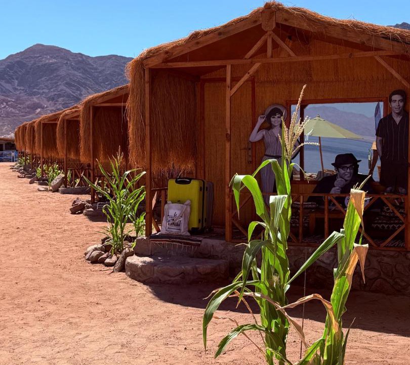 Photo of Others in Nuweiba