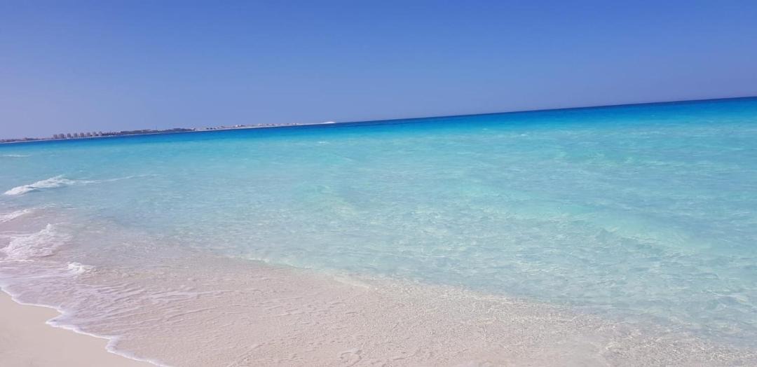 Photo of Others in Marsa Matruh