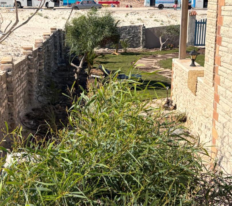 Photo of Others in Marsa Matruh