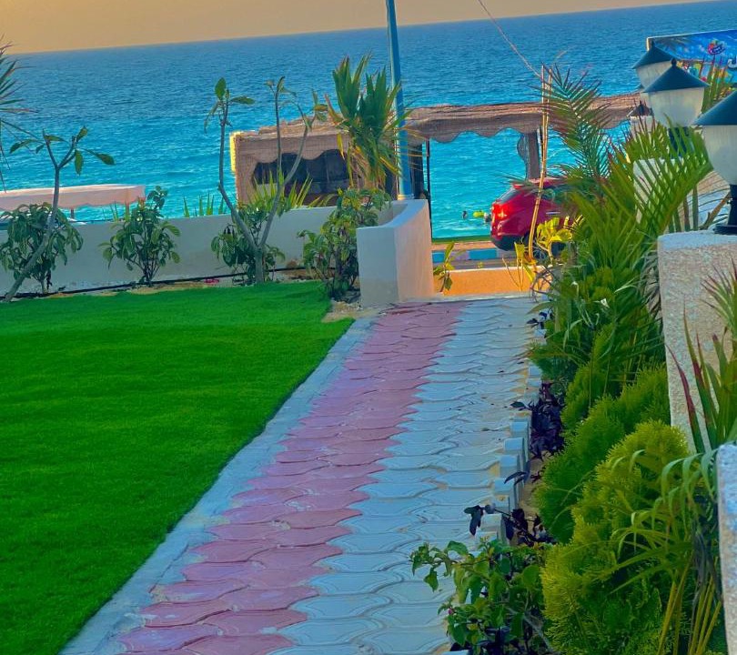 Photo of Others in Marsa Matruh