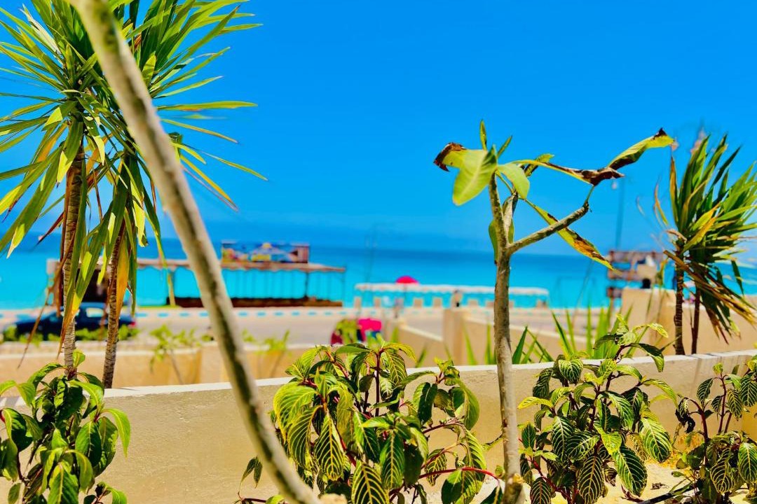 Photo of Others in Marsa Matruh