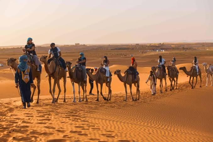 Photo of Others in Taouz