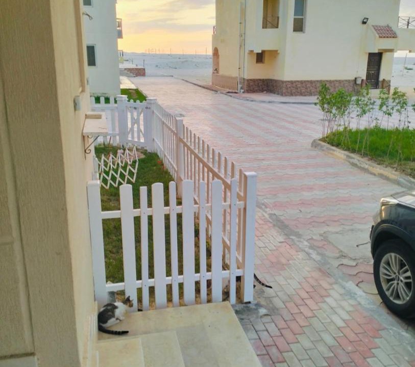 Photo of Others in Marsa Matruh