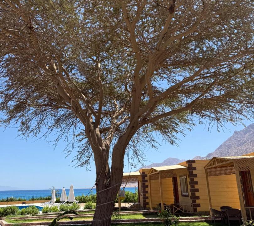 Photo of Others in Nuweiba