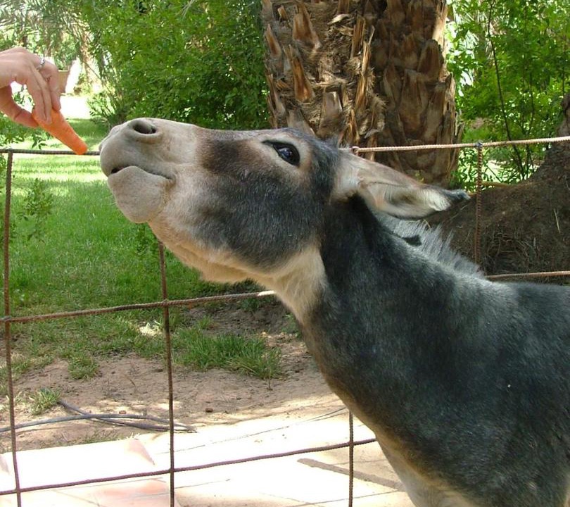 Photo of Others in Aremd