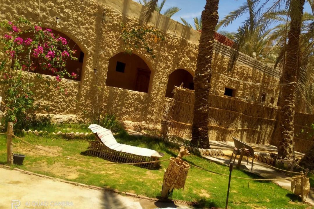 Photo of Others in Siwa