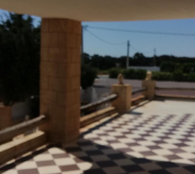 Photo of Others in El Haouaria