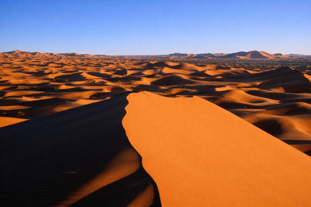 Photo of Others in Hassilabied