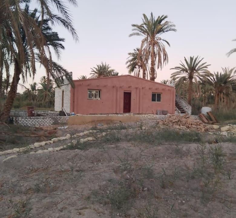 Photo of Others in Tanta