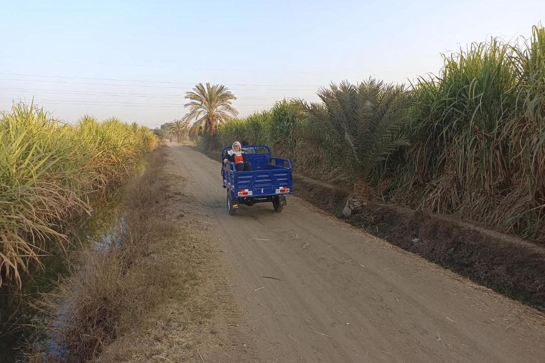 Photo of Others in Luxor