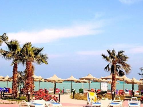 Photo of Others in Hurghada