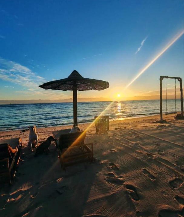 Photo of Others in Nuweiba
