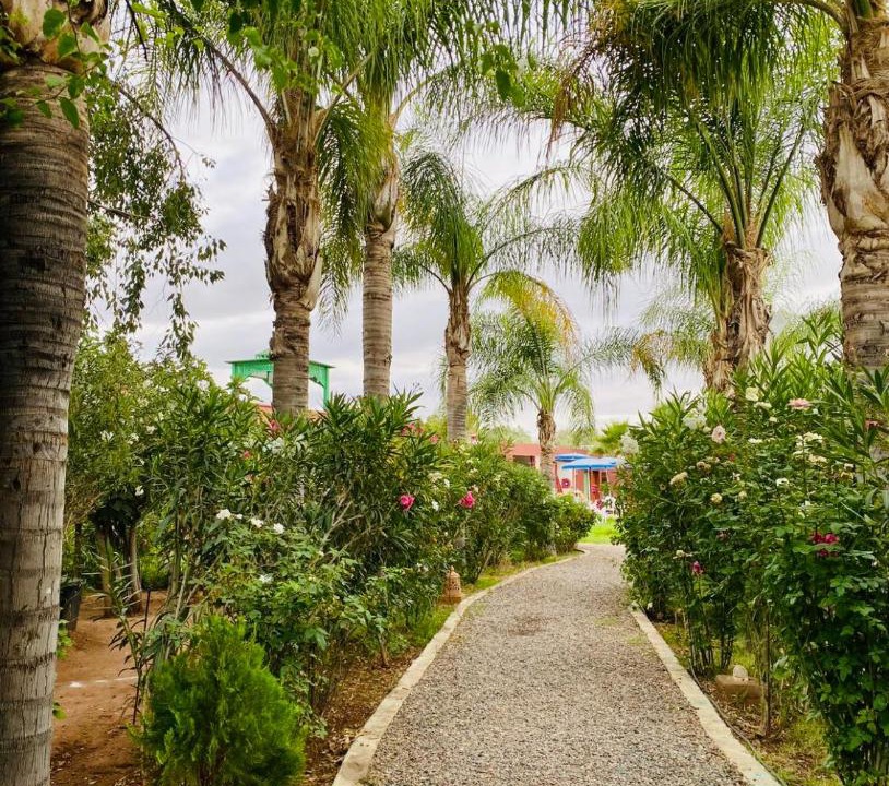 Photo of Outdoor in El Aggada