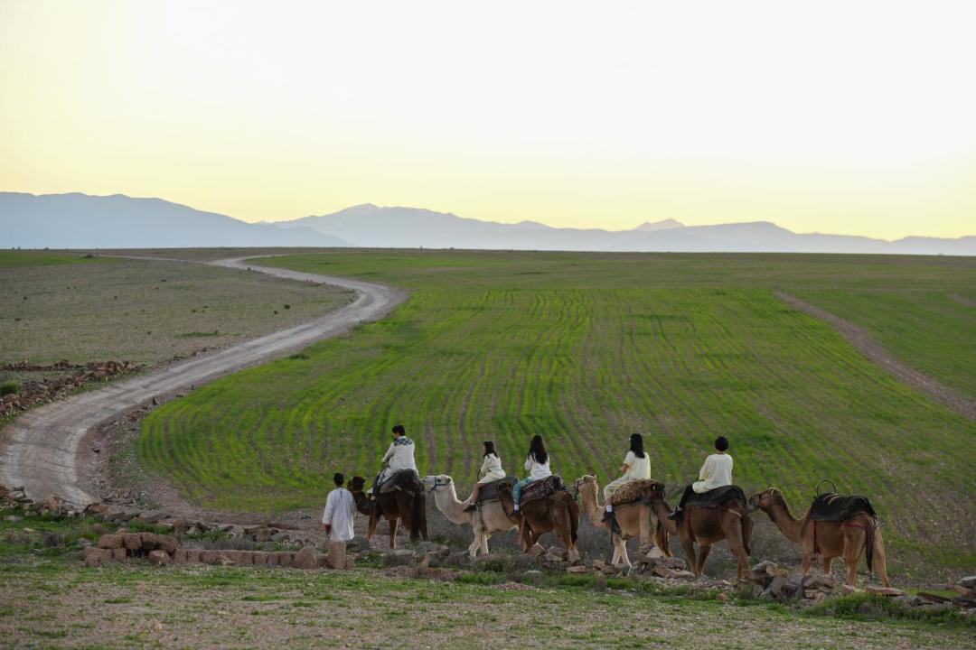 Photo of Others in Agafay