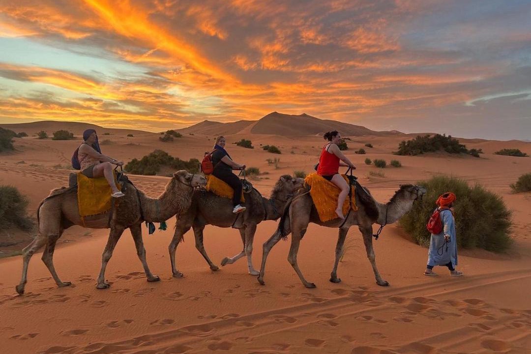 Photo of Others in Merzouga