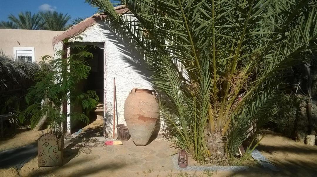 Photo of Others in Douz