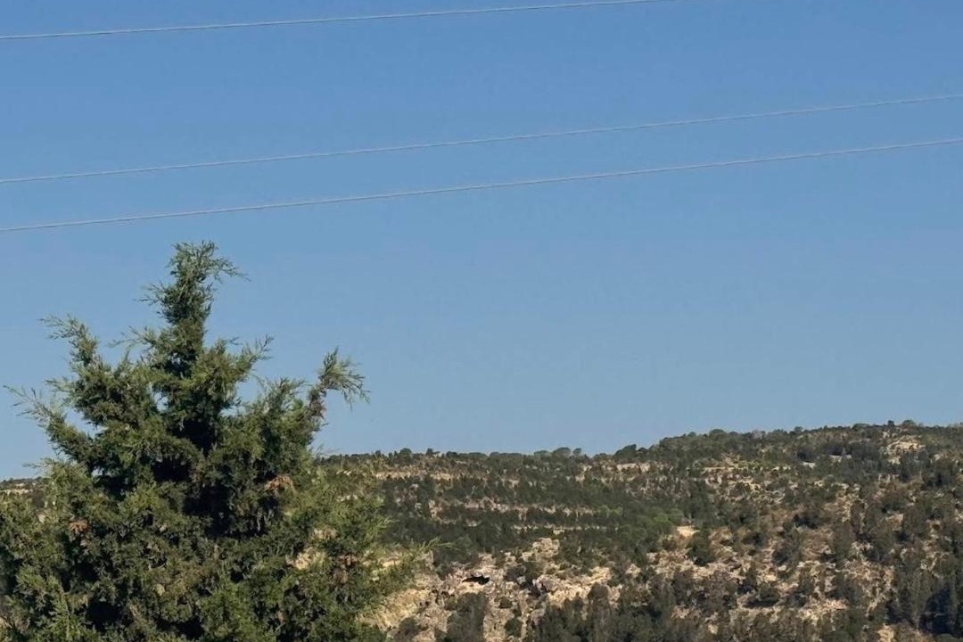 Photo of Others in Mrezga