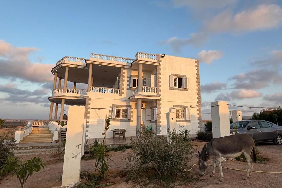 Photo of Others in Marsa Matruh