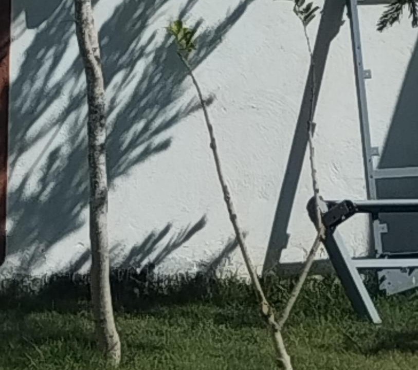 Photo of Outdoor in Dar Allouche