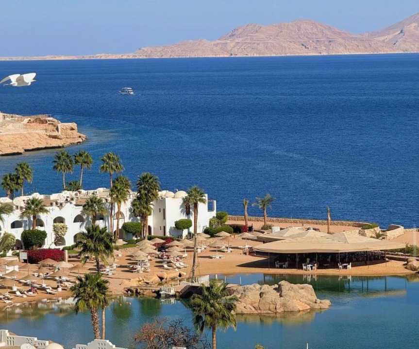 Photo of Others in Sharm El Sheikh