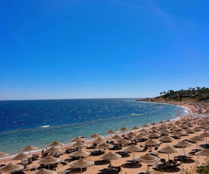 Photo of Others in Sharm El Sheikh