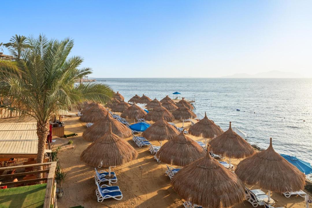 Photo of Others in Sharm El Sheikh