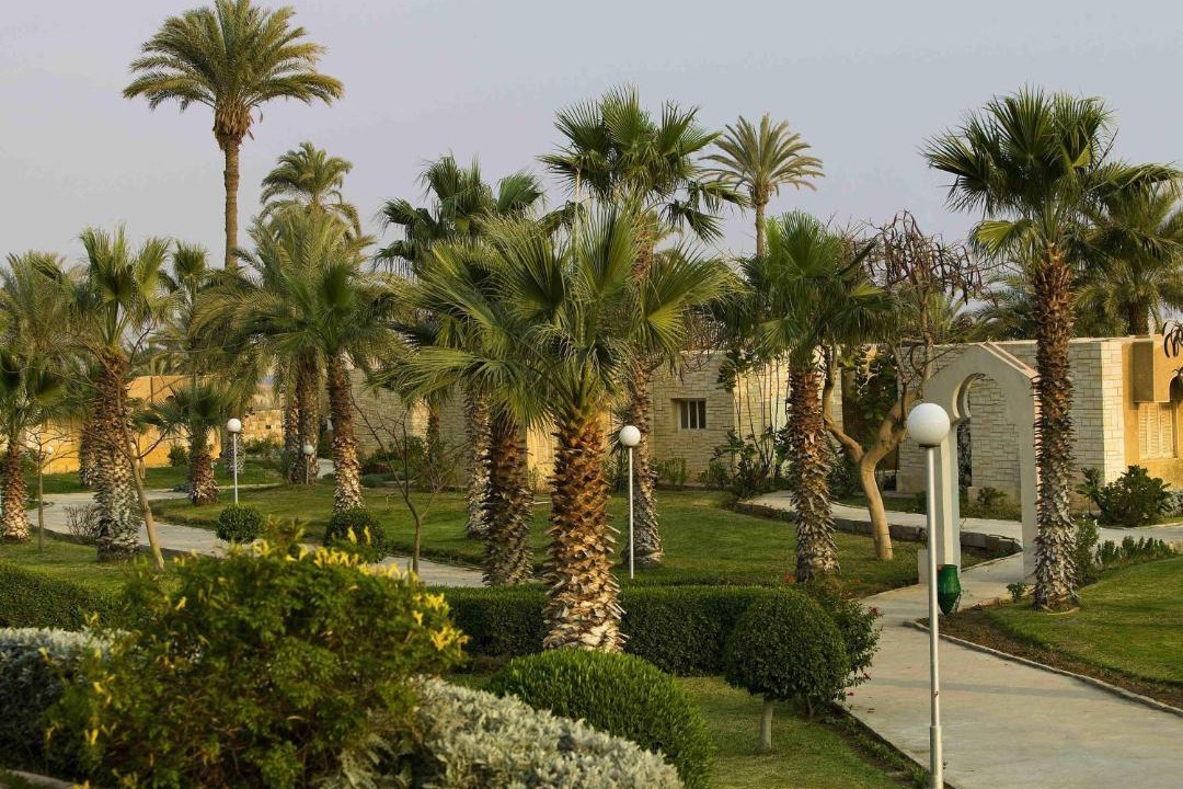 Photo of Others in Ismailia