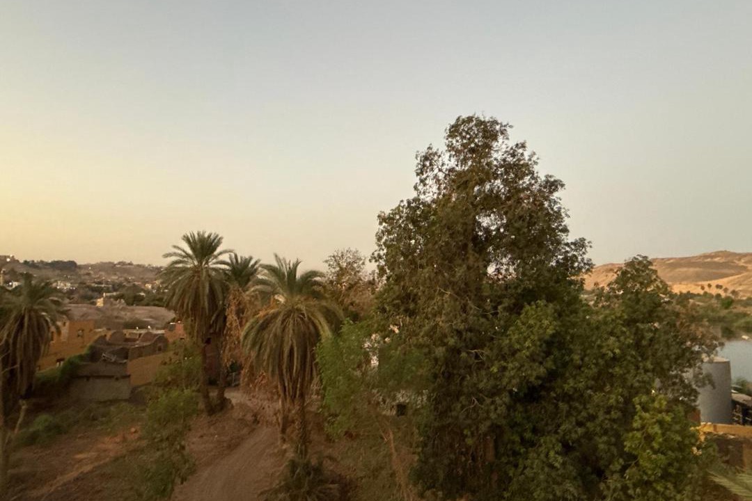 Photo of Others in Aswan