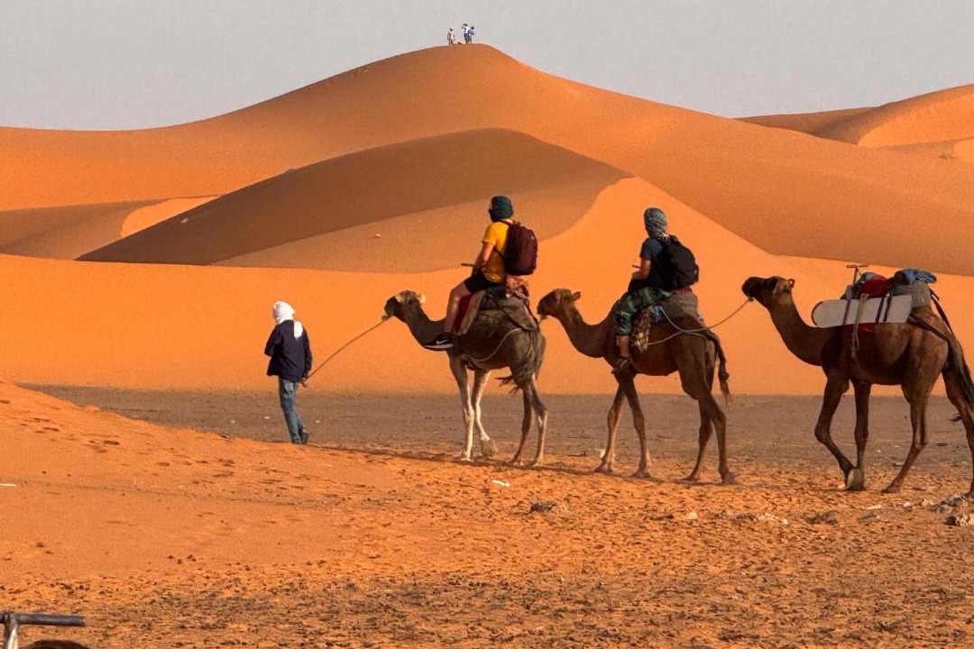 Photo of Others in Taouz