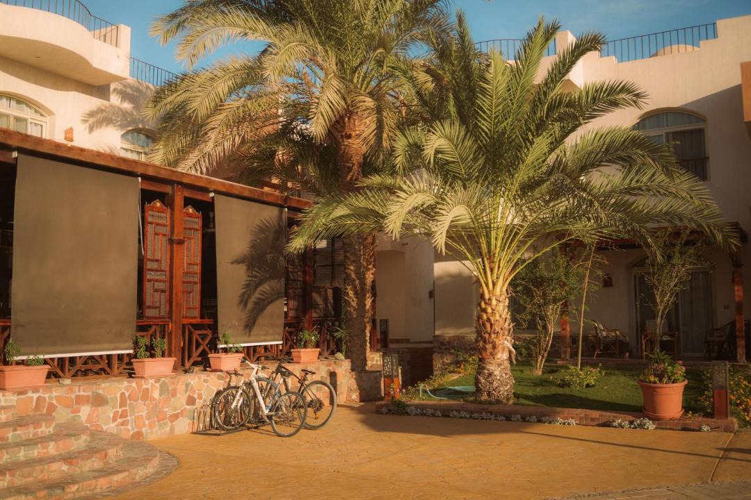 Photo of Others in Dahab