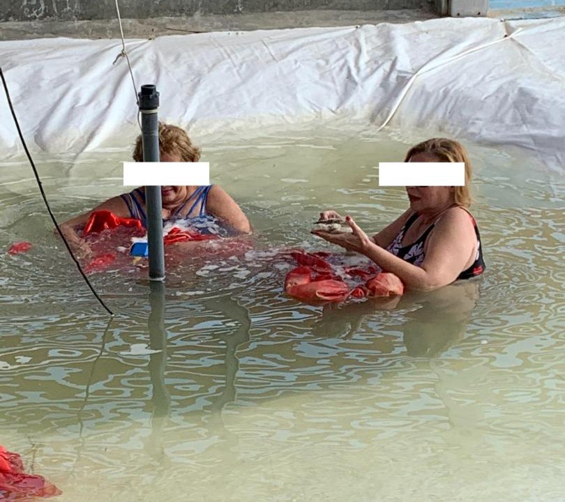 Photo of Others in Wadi El Natrun