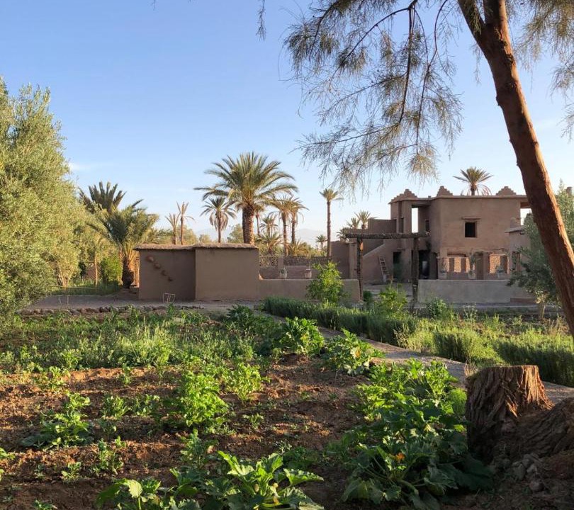 Photo of Others in Skoura