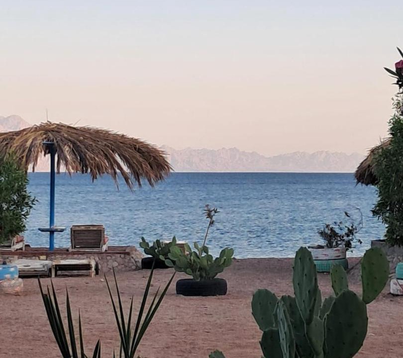 Photo of Others in Nuweiba