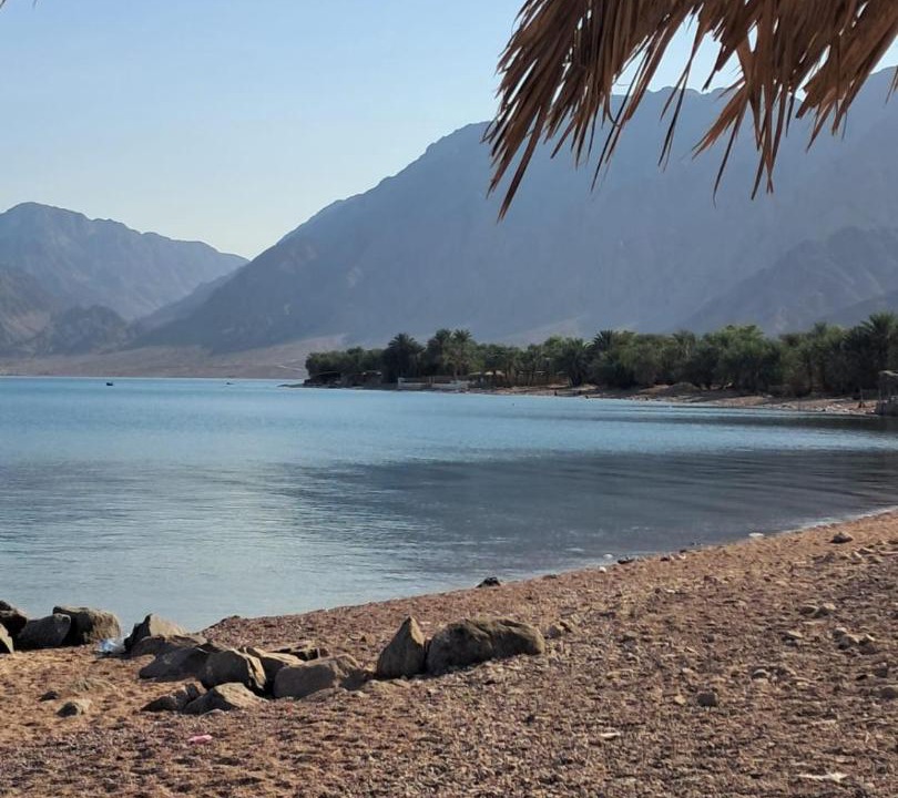 Photo of Others in Nuweiba