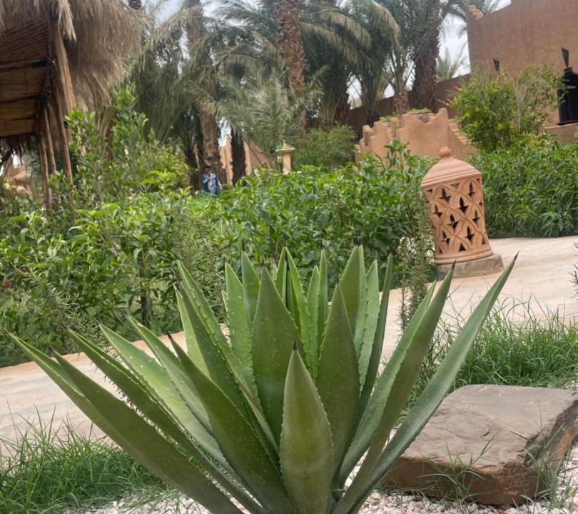 Photo of Others in Amezrou